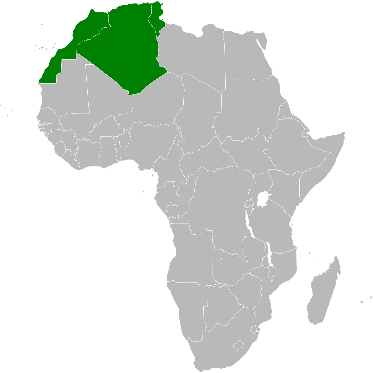 Maghreb flag