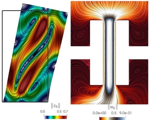 Webinar on Mathematical Analysis and Robust Numerical Methods for Ion Transport in Deformable Porous Media