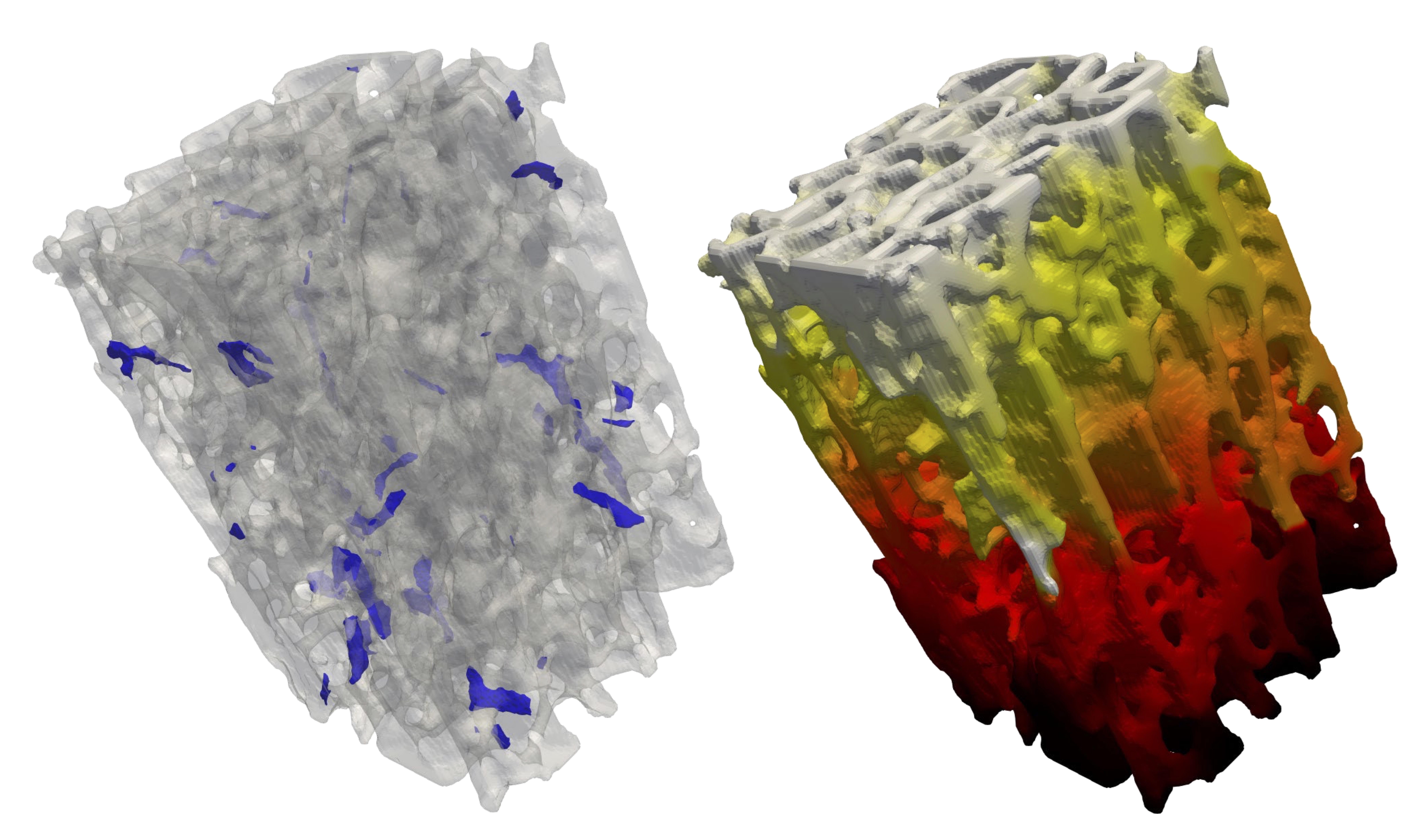 Mechanics of Deformable Porous Media Image