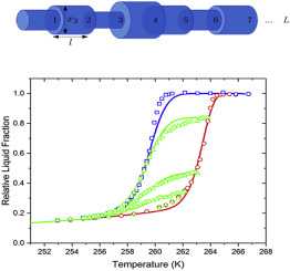 A novel approach for advanced thermoporometry characterization of mesoporous solids: Transition kernels and the serially connected pore model