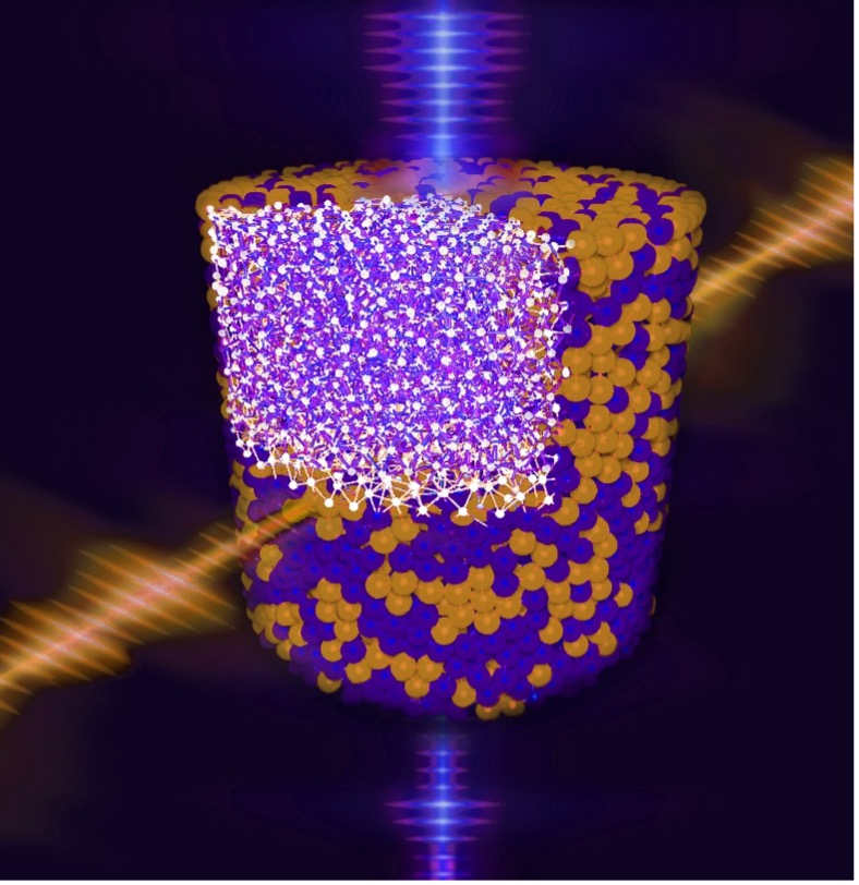 SFB Research Spotlight Cover Image