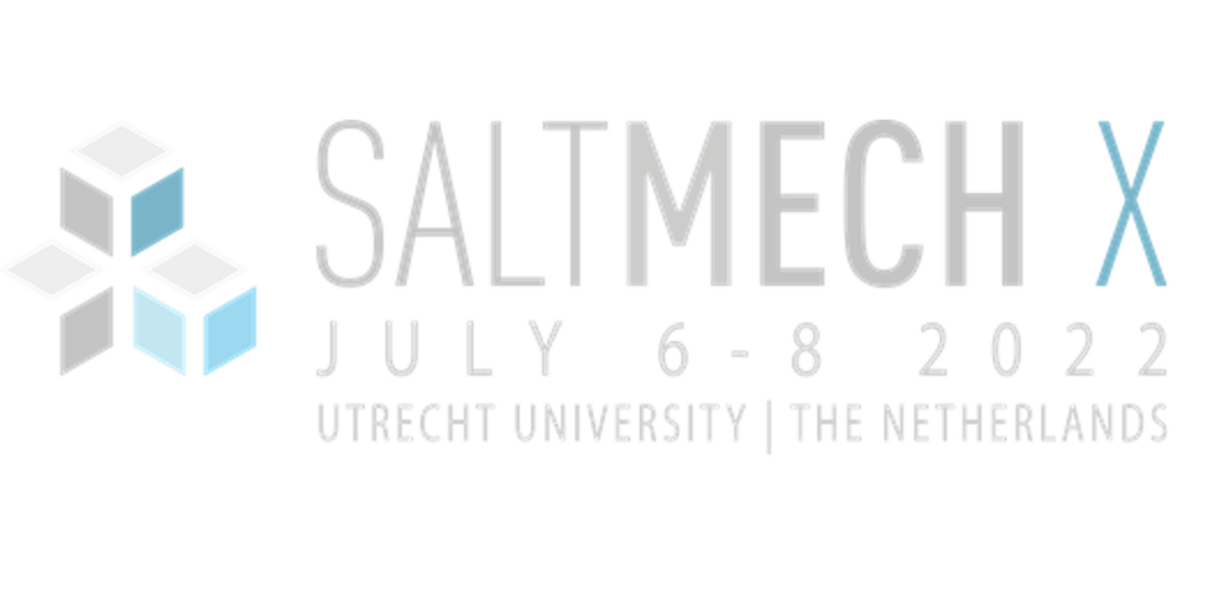 Invitation to SaltMech X