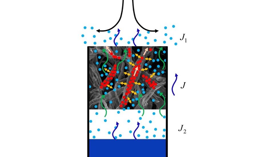 Wet and Dry Cup Test With Hygroscopic Materials: What Do We Really Measure?