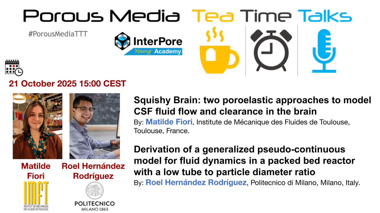 Porous Media Tea Time Talk 74 Flyer