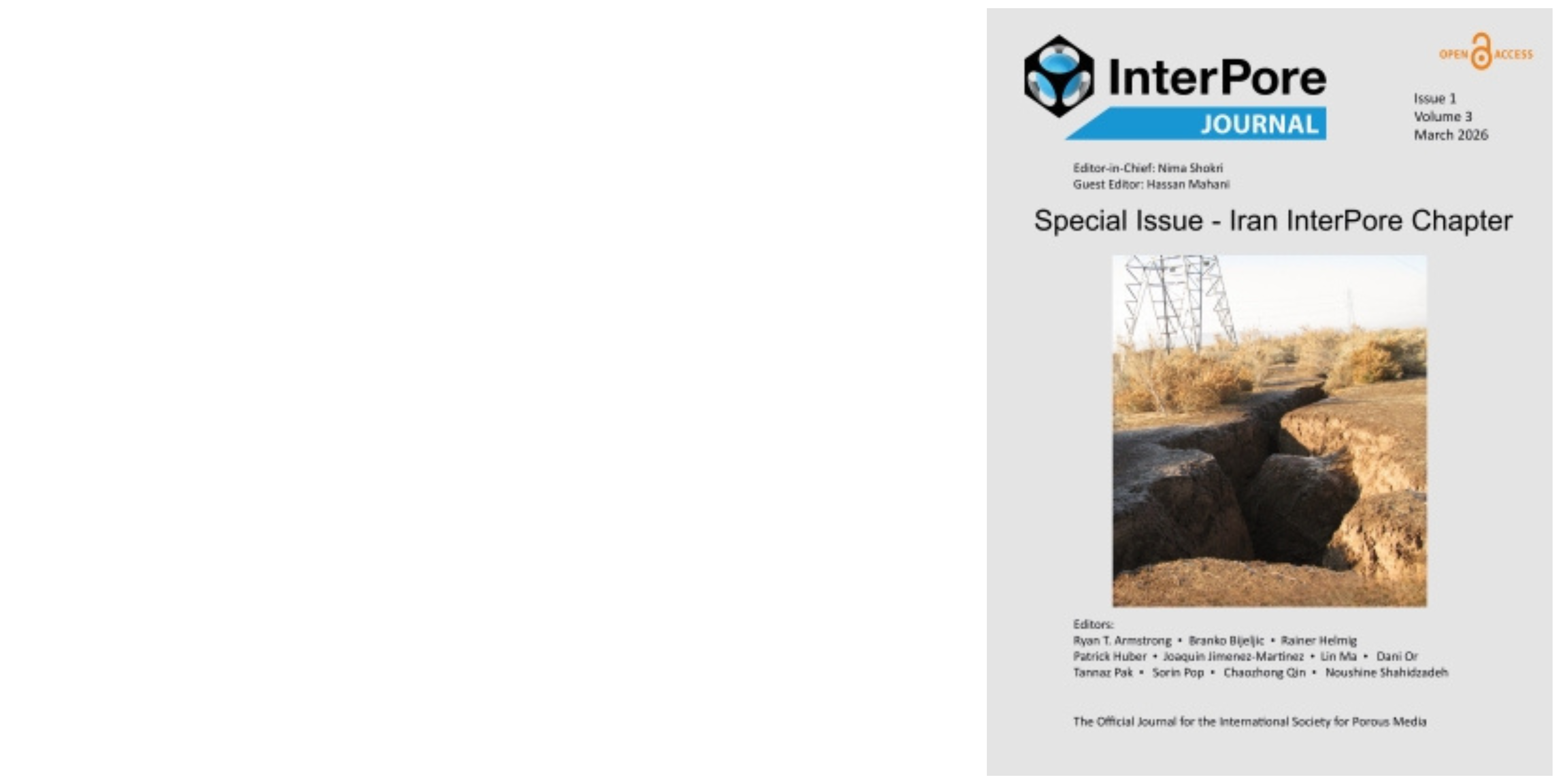 View of a sinkhole on the InterPore cover from issue 1. 2026