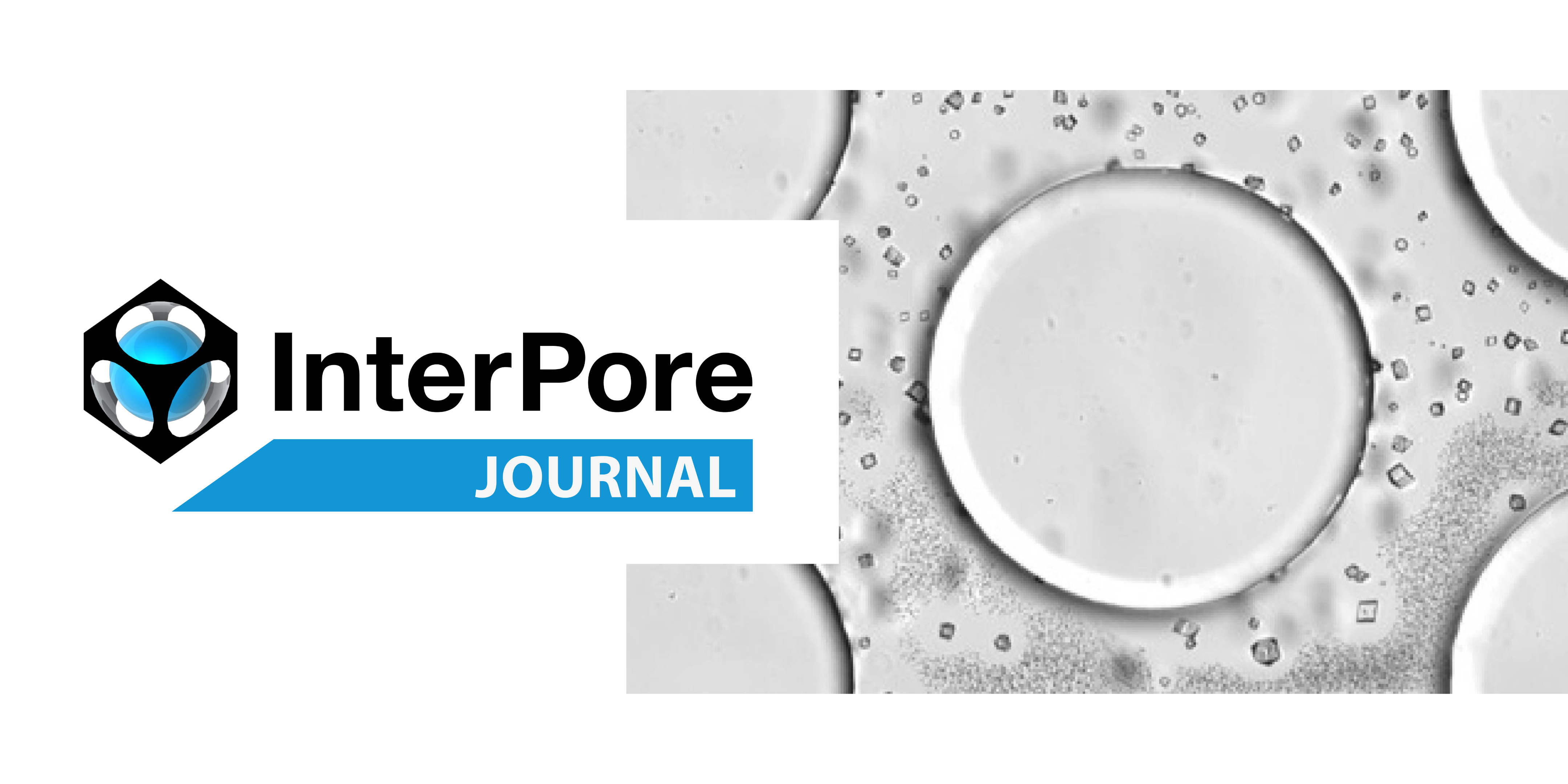 InterPore Journal Logo + image showing Ostwald ripening of calcite crystals,