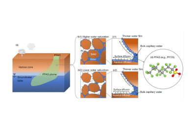 Challenges and Opportunities for Porous Media Research To Address PFAS Groundwater Contamination