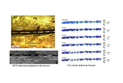 A Pore-Scale Study of Fracture Sealing Through Enzymatically-Induced Carbonate Precipitation (EICP) Method Demonstrates Its Potential for CO2 Storage Management