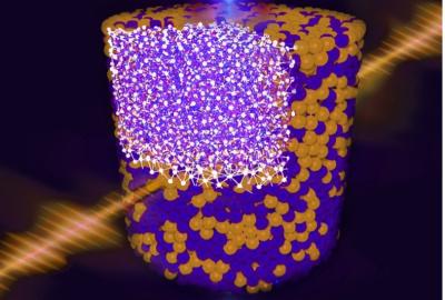 SFB Research Spotlight Cover Image