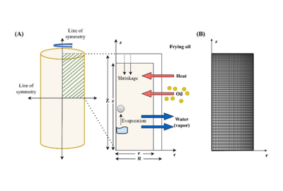 Hybrid Mixture Theory-Based Modeling of Unsaturated Transport in a Deforming Porous Food Matrix During Frying