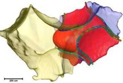 Research Spotlight: Pore-scale Processes in Geomaterials, Ghent University