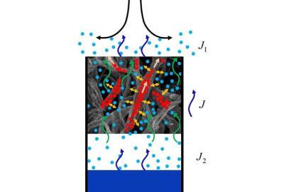 Wet and Dry Cup Test With Hygroscopic Materials: What Do We Really Measure?