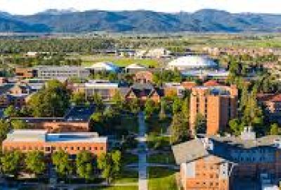 Montana State University