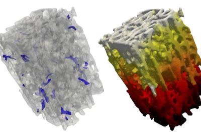 Course Image for Mechanics of Deformable Porous Media