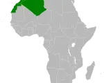 Maghreb flag