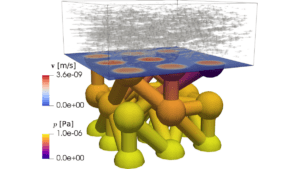 Velocity field in the coupled free flow and pore network domain obtained by the hybrid dimensional model including pore scale slip. - Research Spotlight: Collaborative Research Centre (SFB) 1313 "Interface-Driven Multi-Field Processes in Porous Media – Flow, Transport and Deformation" of the University of Stuttgart