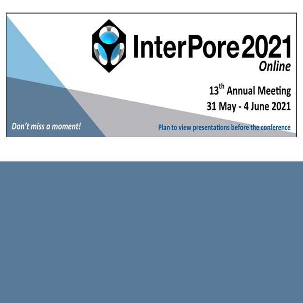 interpore2021 dark blue mini banner 1 - InterPore2021