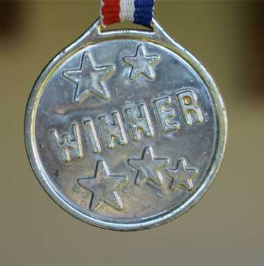 medal - National Chapter Awards