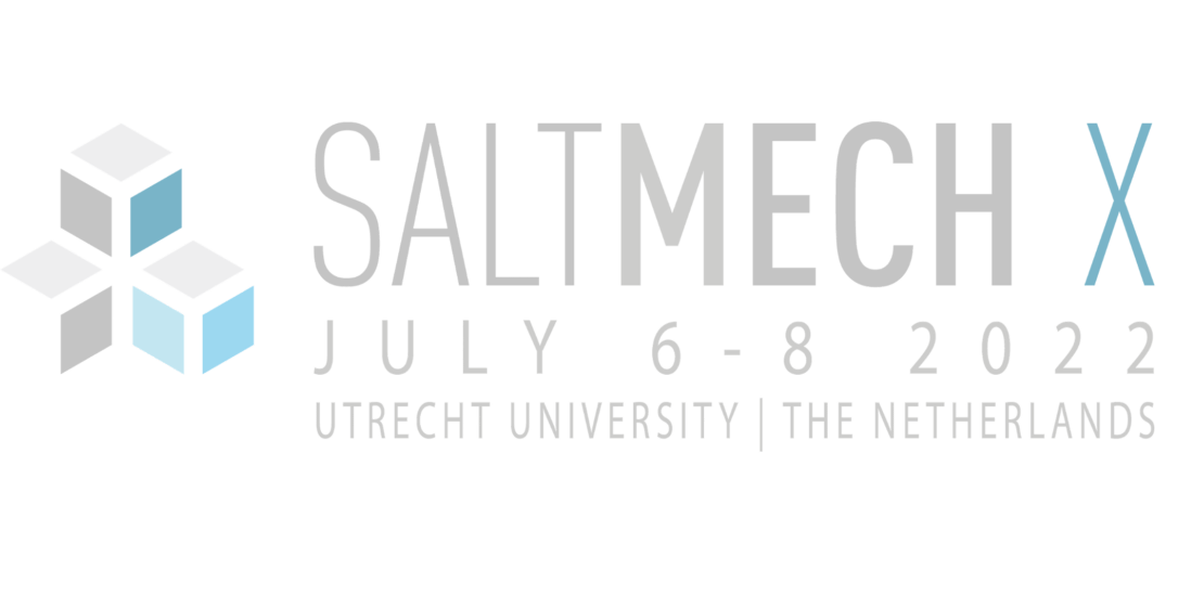 saltmech x - Invitation to SaltMech X