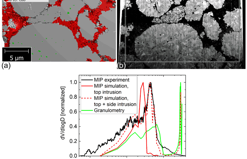 Beuse et al. 2021 - Comprehensive Insights into the Porosity of Lithium-Ion Battery Electrodes: A Comparative Study on Positive Electrodes Based on LiNi0.6Mn0.2Co0.2O2 (NMC622)