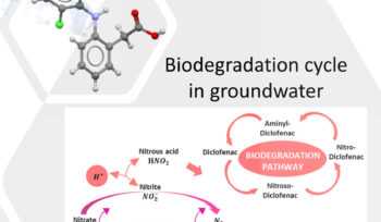 diclofenac - Formulation and Probabilistic Assessment of Reversible Biodegradation Pathway of Diclofenac in Groundwater