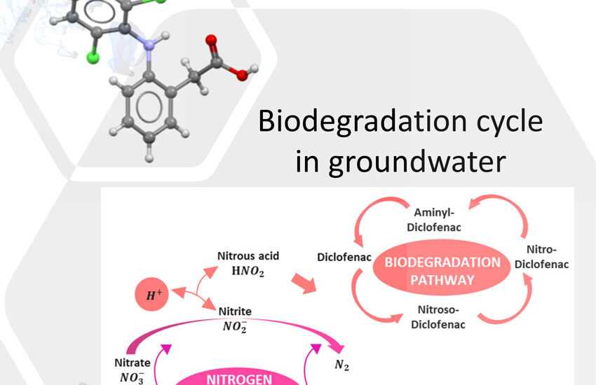 diclofenac - Formulation and Probabilistic Assessment of Reversible Biodegradation Pathway of Diclofenac in Groundwater