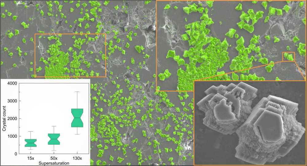 Nooraiepour et al 2021 1 - Probabilistic Nucleation and Crystal Growth in Porous Medium: New Insights from Calcium Carbonate Precipitation on Primary and Secondary Substrates