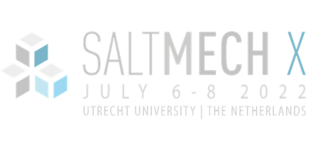 SatMechX - Invitation to SaltMech X