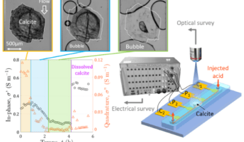 Rembert - A Microfluidic Chip for Geoelectrical Monitoring of Critical Zone Processes