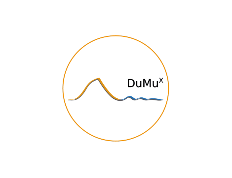 DuMuX rund - SFB 1313 DuMuX Short Course 2024