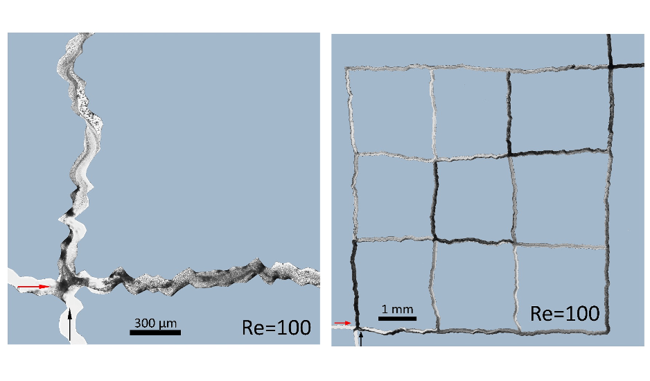 PeterKangpaper - Fluid Inertia Controls Mineral Precipitation and Clogging in Pore to Network-Scale Flows