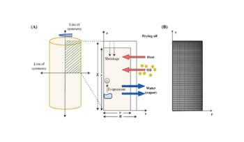 Shah 2024 - Hybrid Mixture Theory-Based Modeling of Unsaturated Transport in a Deforming Porous Food Matrix During Frying